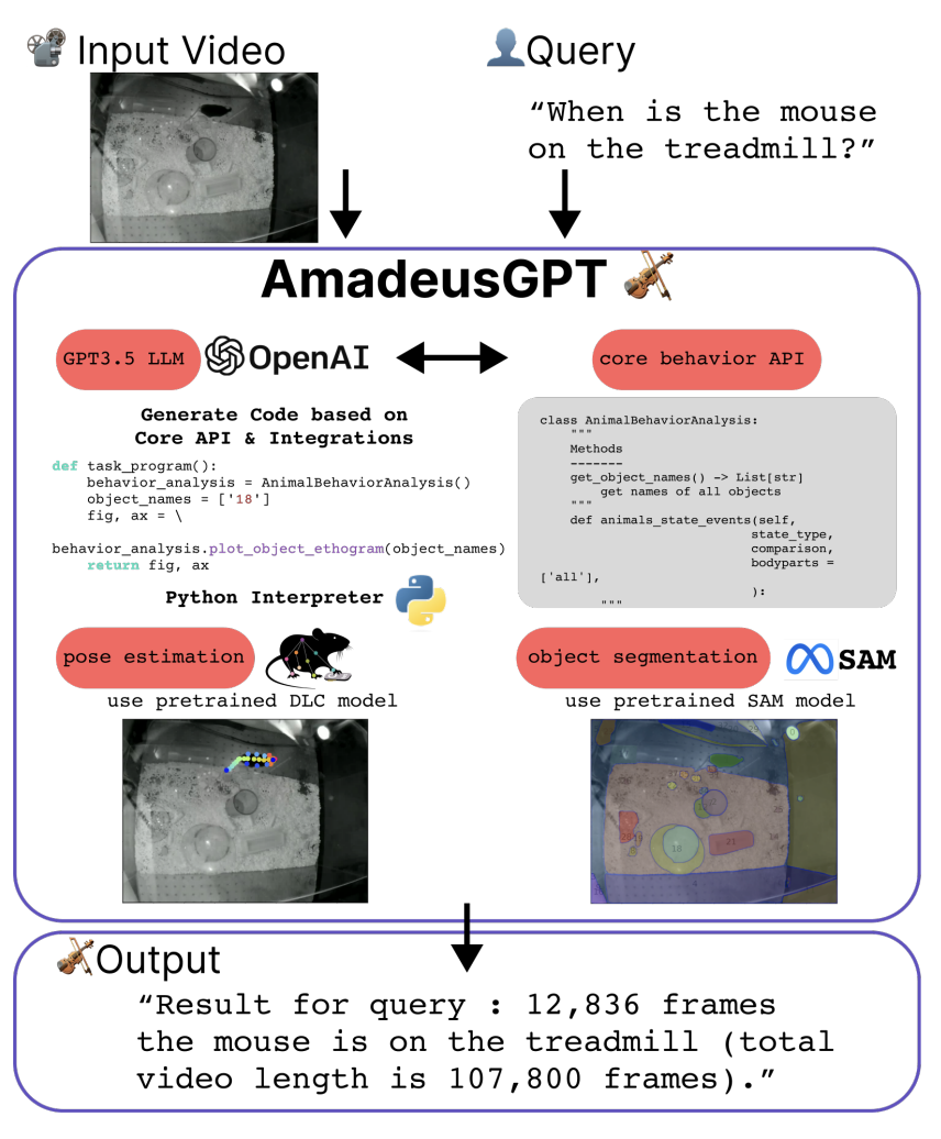 AmadeusGPT workflow