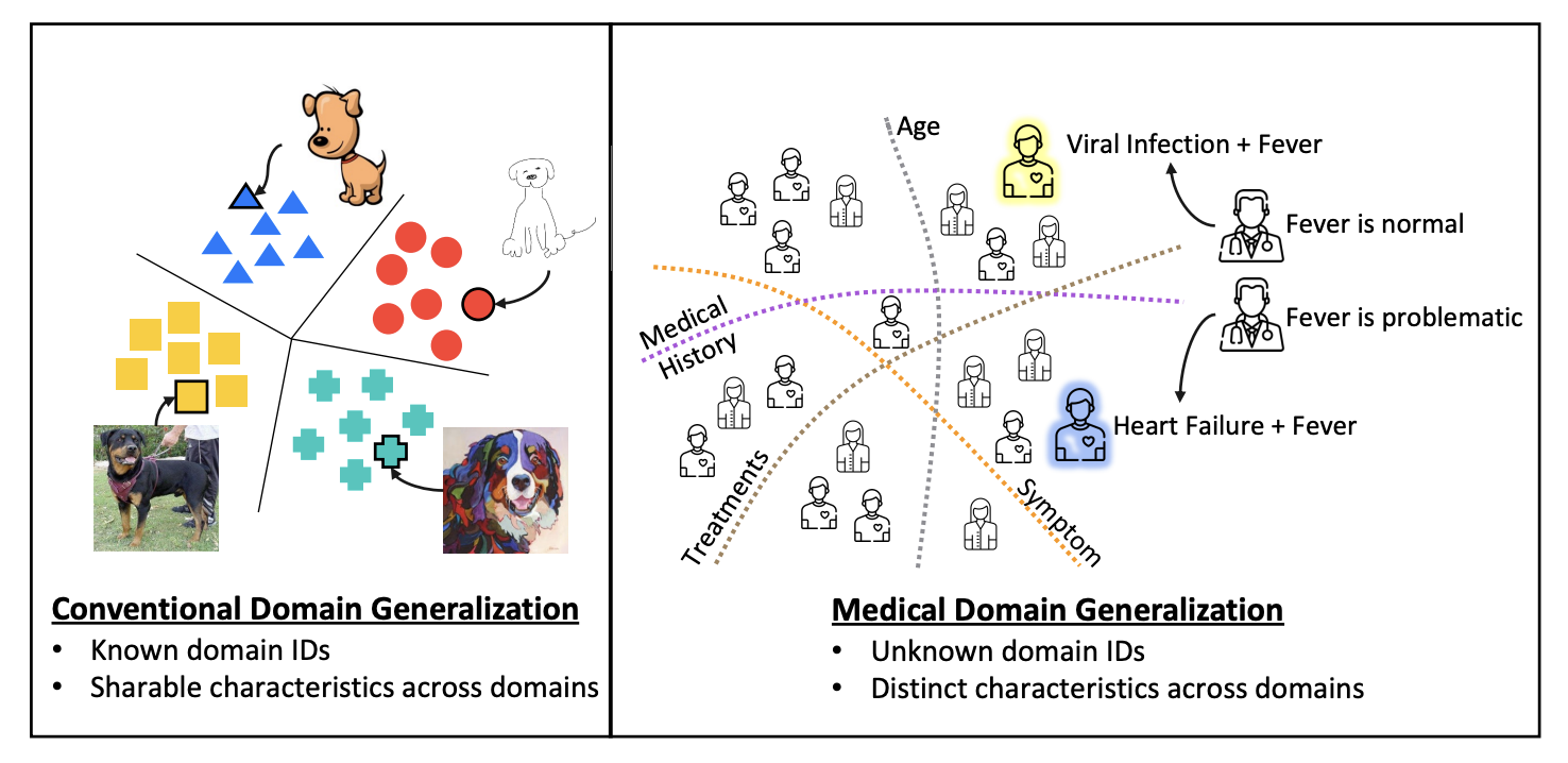 MedDomainGeneralization workflow