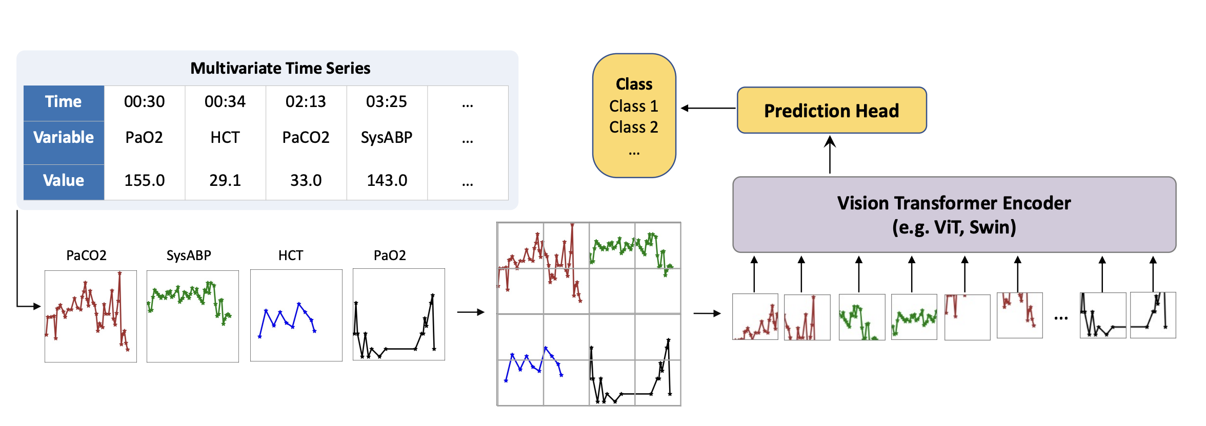 tsViT workflow